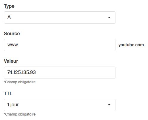 Panel Infomaniak, DNS avec exemple de youtube
