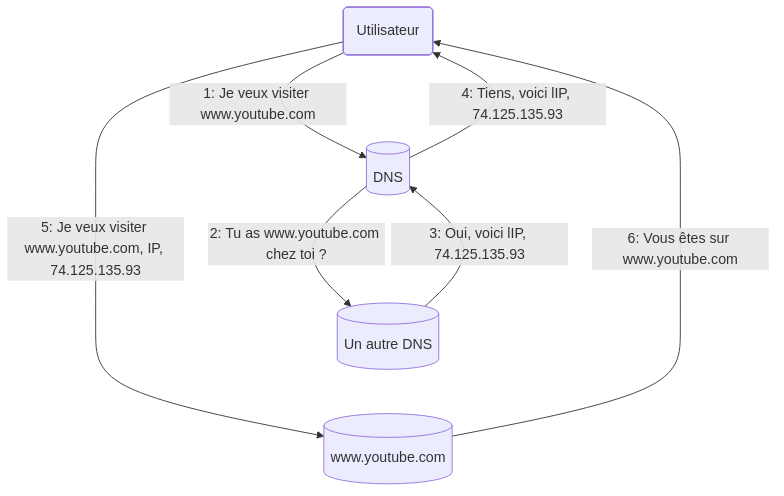 Exemple du fonctionnement d'un DNS au niveau simple